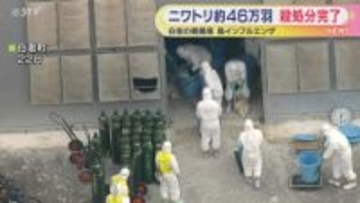 およそ45万2千羽…白老町の養鶏場 鳥インフルエンザの殺処分が完了