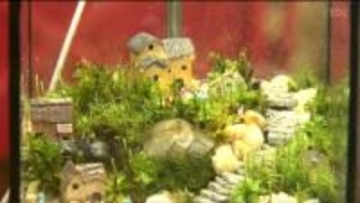 「ふわふわで可愛くて増やしたくなる」コケの魅力とは? 宮城・栗原市で“苔フェスティバル”開催