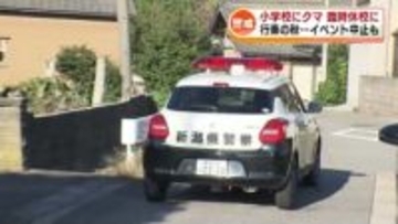 小学校の敷地内にクマ出没 突進もフェンスにぶつかり逃げる 行楽の秋…イベント中止など影響も 《新潟》