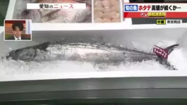 【ホタテ危機】100g1300円に高騰 猛暑による海水温の上昇で衰弱 青森では稚魚大量死も