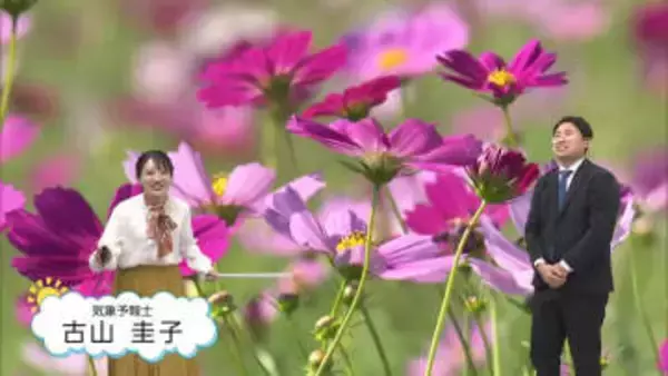 10月29(水)宮崎の天気 「秋晴れの空つづく 北東の風が強め」