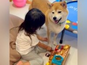 おうちに遊びに来た『3匹の犬』と遊ぶ女の子→帰る時間になると…離れたくなくて見せた『愛おしい光景』に反響「大好きなんだね」「たまらん」