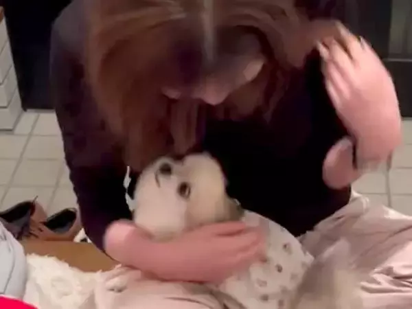 5ヶ月ぶりに帰省した娘→こっそり玄関に入った結果、犬が…愛に溢れた『熱烈大歓迎』が15万再生「一生懸命に甘えてて可愛い」「お耳が最高」