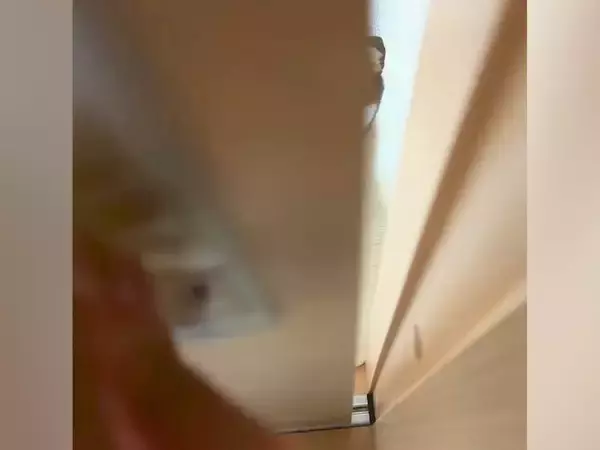 犬に気づかれないように家に帰った結果→ドアを開けてみたら…『まさかの光景』が41万再生「だるまさんが転んだで草」「最高のお出迎え」と反響