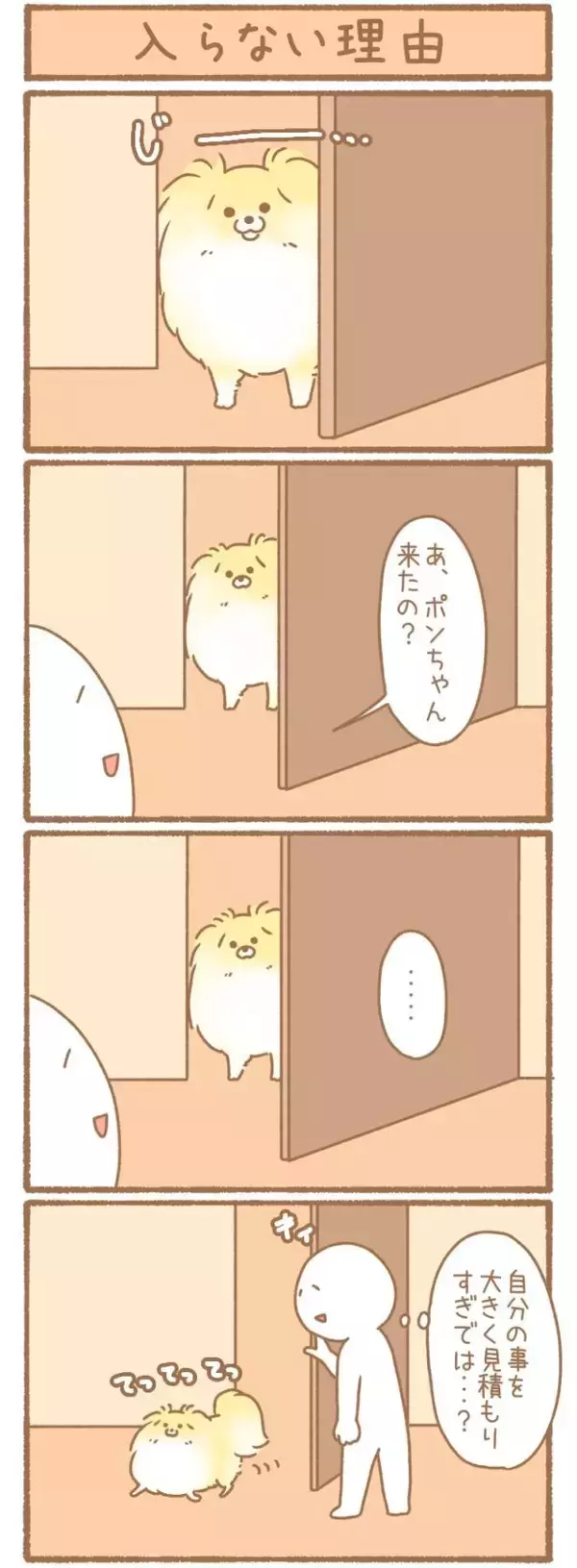 ただの犬好きです。【第334話】「入らない理由」