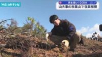 山火事が発生した秋葉山 復興に向けた植樹作業