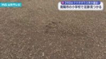 赤湯小学校敷地内にクマの足跡のようなもの 南陽市