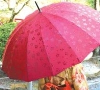 雨に濡れると、柄が浮き出る傘