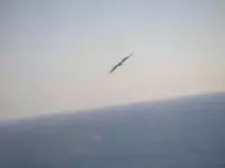 日本野鳥の会のあの人に直接電話で質問できるってホント エキサイトニュース 2 2