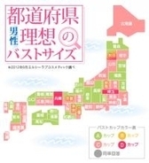 女性の胸のサイズ別重量が判明 Cカップだとシロクマの赤ちゃんと同じ エキサイトニュース