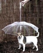 英国で大ヒットしたイヌ用の雨傘