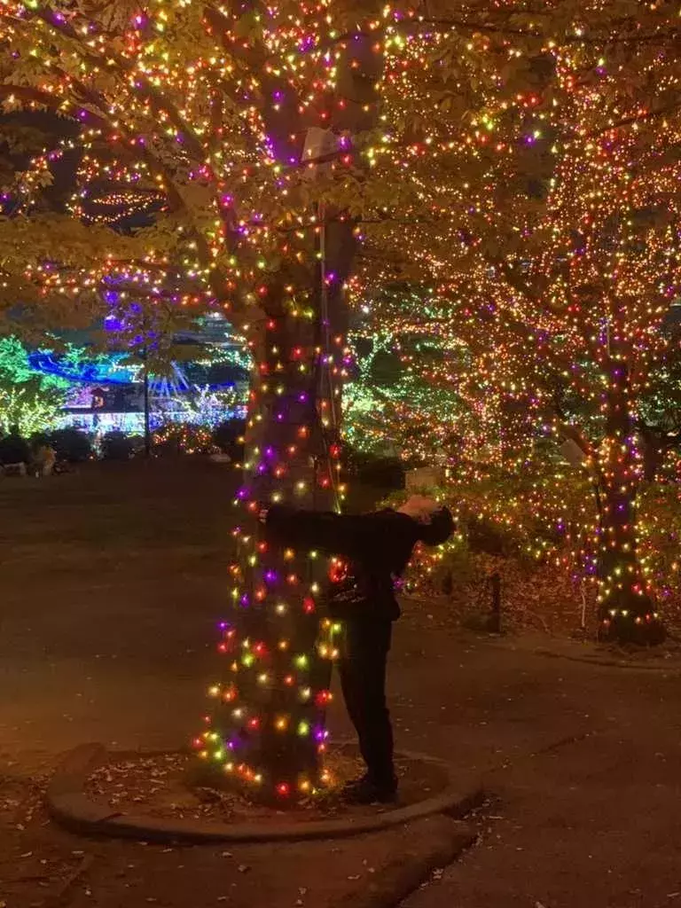 19最新版 インスタ映え よみうりランドイルミネーションに行ってきた 冬は心温まる素敵なイルミを見に行こう ローリエプレス