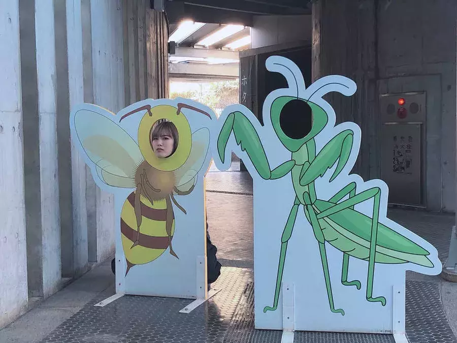 飛び回る蝶の群れにうっとり 多摩動物公園の 昆虫館 がスゴイ デートにも ローリエプレス