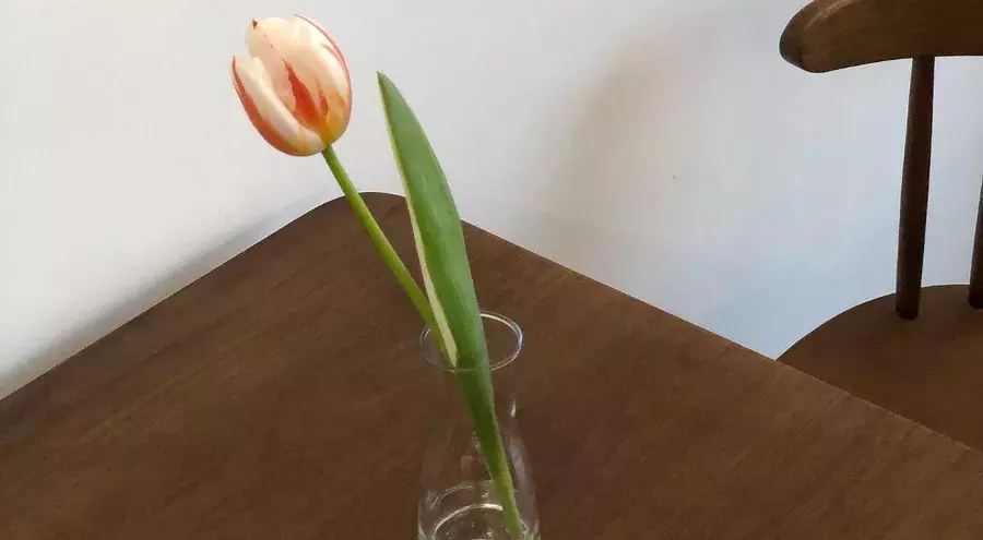 Iphoneで課金できない 原因と解決法を画像付きで徹底解説 ローリエプレス Iphoneで課金できない 原因と解決法を画像付きで徹底解説 ローリエプレス