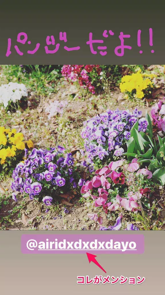 インスタストーリーで 他の人にバレないようにメンションを飛ばす方法 ローリエプレス