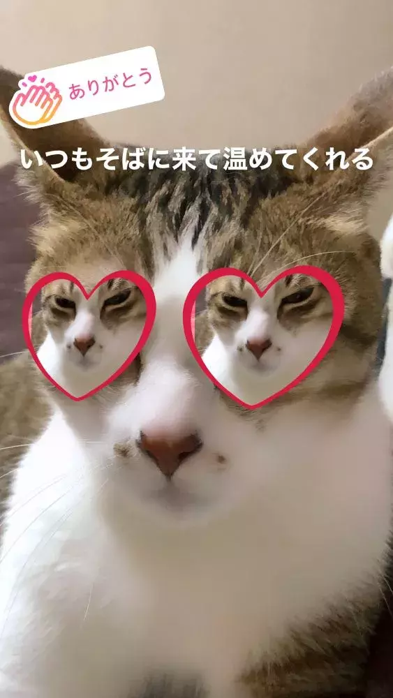 インスタストーリーに 今日の感謝 スタンプが登場 今日の感謝をみんなと共有しよう ローリエプレス