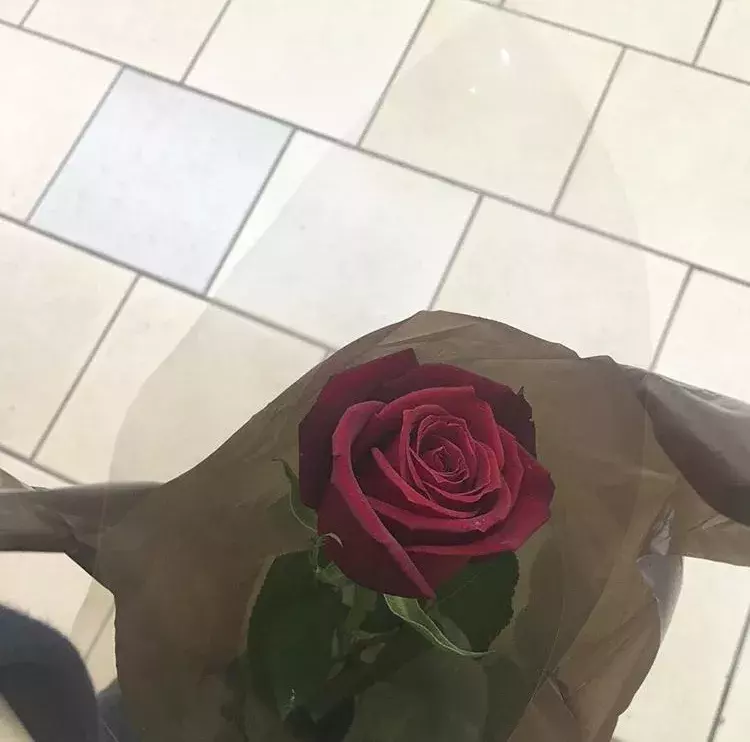 お花を可愛く写真に収める撮り方を伝授 意外なテクニックでさらにお洒落な一枚に ローリエプレス