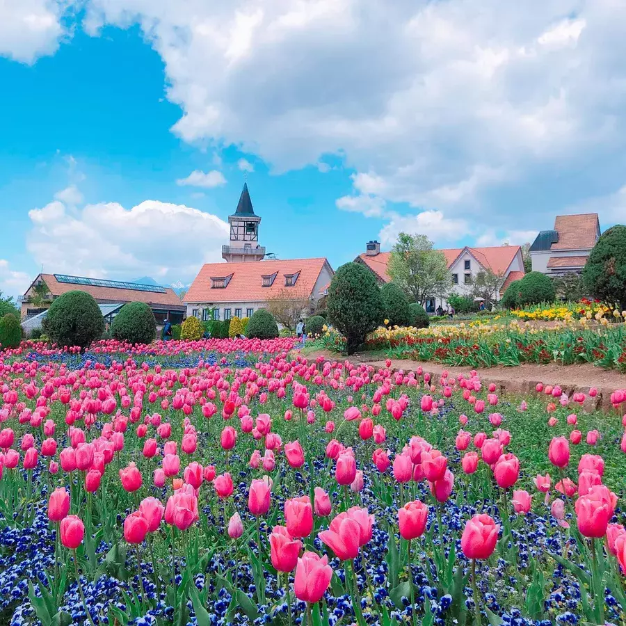 山梨県には映えるスポットがいっぱい おすすめのお出かけスポットまとめ ローリエプレス 山梨県には映えるスポットがいっぱい おすすめのお出かけスポットまとめ ローリエプレス