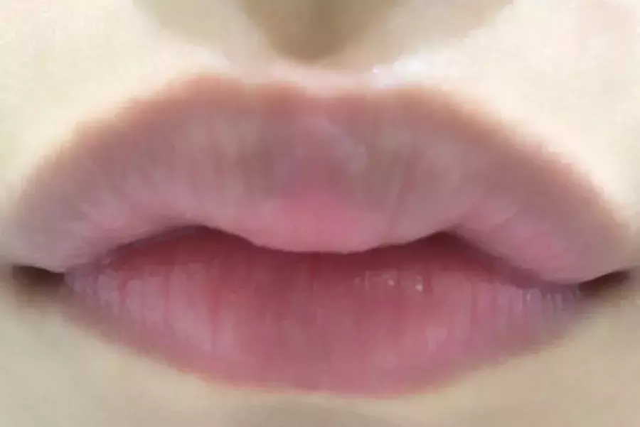 すっぴん唇がくすみ色の方に Ysl Opera Kateの落ちにくいリップのご紹介 ローリエプレス