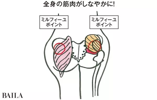 お尻をほぐすと小顔になるって本当ですか お尻先生 田口咲さんが徹底伝授 ローリエプレス