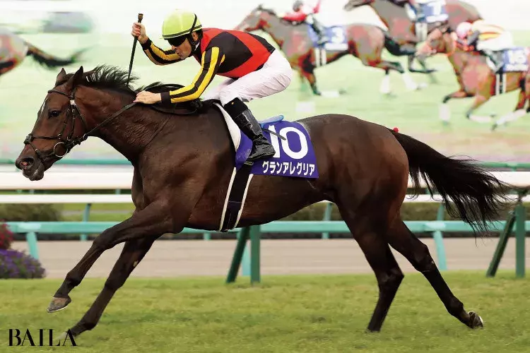 競馬のススメ 馬女 ウマジョ はじめ 競馬推しの女性が増えている その魅力を解剖 ローリエプレス 競馬のススメ 馬女 ウマジョ はじめ 競馬推しの女性が増えている その魅力を解剖 ローリエプレス
