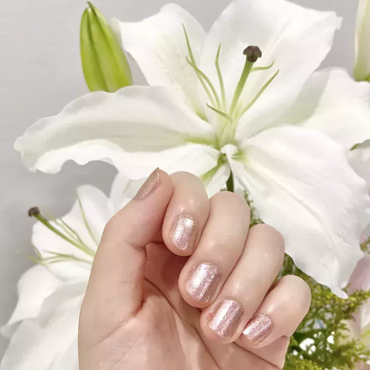 45秒の速乾ネイル 超優秀ネイルズインクがパワーアップしました ローリエプレス 45秒の速乾ネイル 超優秀ネイルズインクがパワーアップしました ローリエプレス