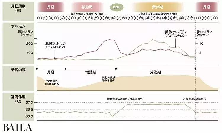 生理の知識があれば不調とつきあいやすくなる 働く女性のための生理基礎知識 30歳からのフェムケアノート拡大版 ローリエプレス