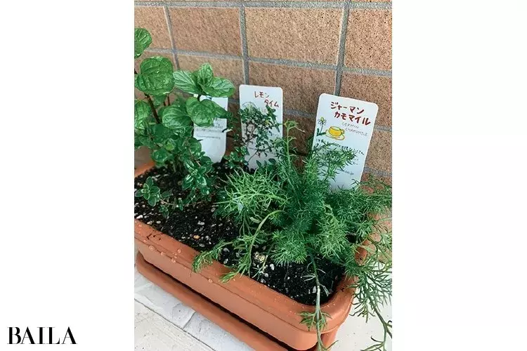 スーパーバイラーズ太田冴さんはパニック障害を機に 女性の働きやすさ を見直し 大学院で勉強中 未来へ繋がるあの人の学び ローリエプレス