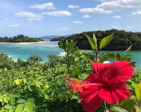 日焼止めの使用期限はどのくらい 期限を守って綺麗なお肌を保とう ローリエプレス