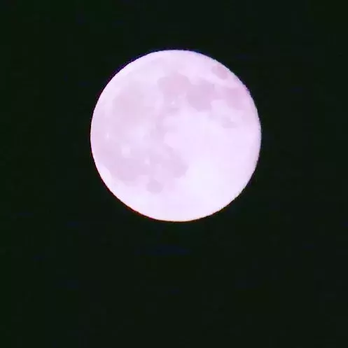 月が綺麗ですね は愛の告白 言われた時の風情ある返し方を解説 ローリエプレス