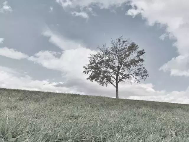 人と関わりたくないときの心理って 対処法やおすすめの仕事もご紹介 ローリエプレス