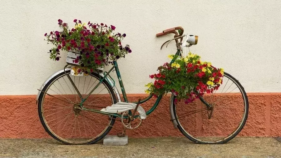 乗ってる自転車が壊れる夢