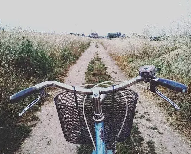 夜道を自転車で走る夢