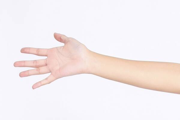 あなたの手に仏眼はある 個数 形 場所で変わる手相の意味を詳しく解説 ローリエプレス