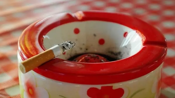 コーヒーのかすをそのまま捨てないで 効果的な使い道や乾燥方法を紹介 ローリエプレス 2 3