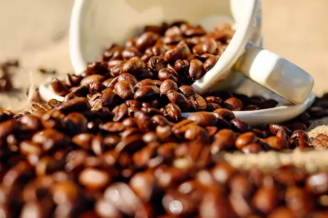 コーヒーのかすをそのまま捨てないで 効果的な使い道や乾燥方法を紹介 ローリエプレス 2 4