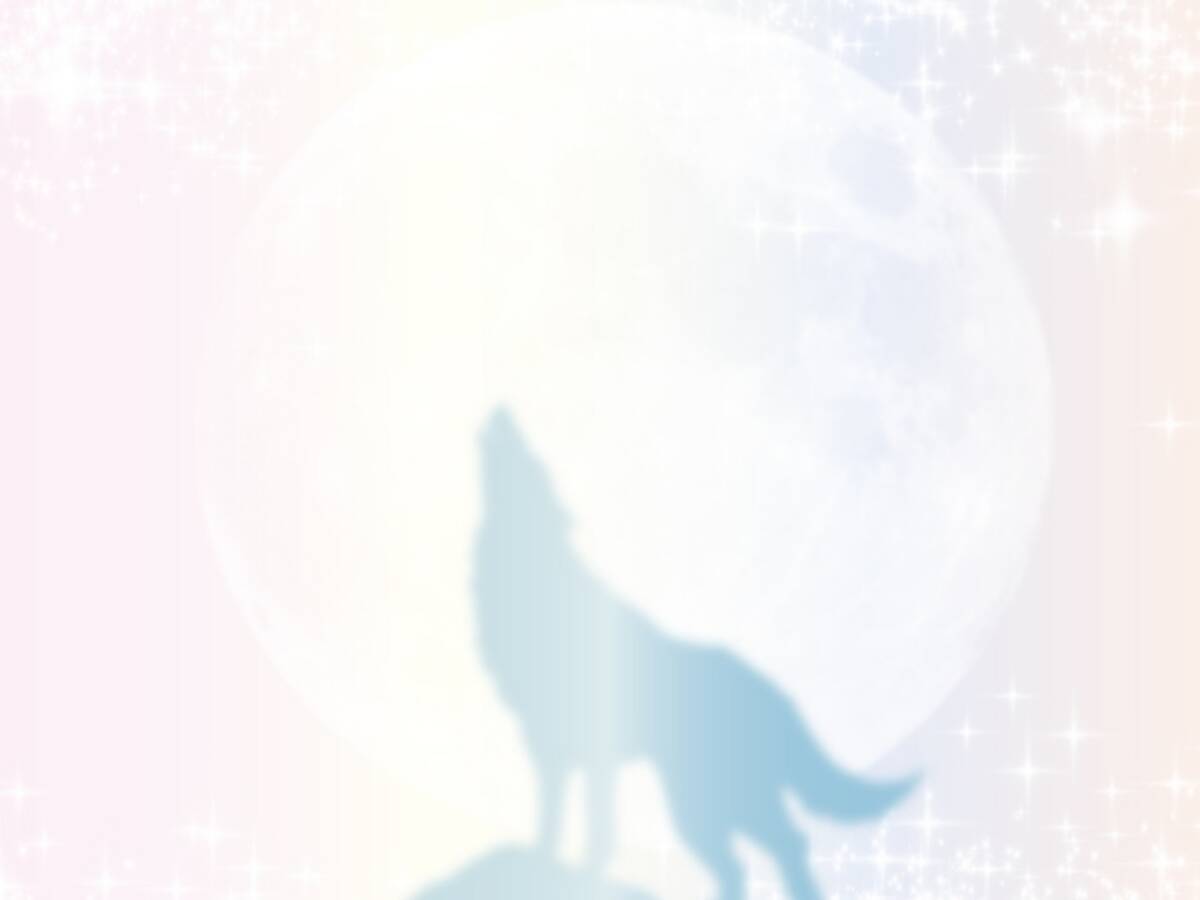 一匹狼の男女にみられる特徴と恋愛傾向は モテる理由も徹底解説 ローリエプレス 2 4