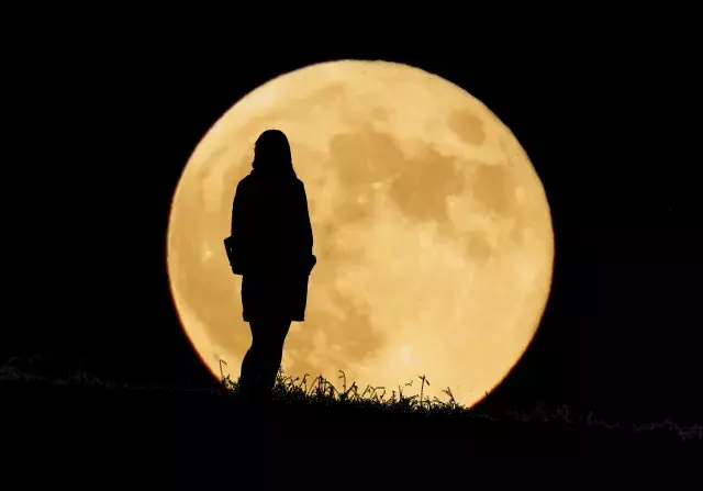 一匹狼の男女にみられる特徴と恋愛傾向は モテる理由も徹底解説 ローリエプレス 2 6