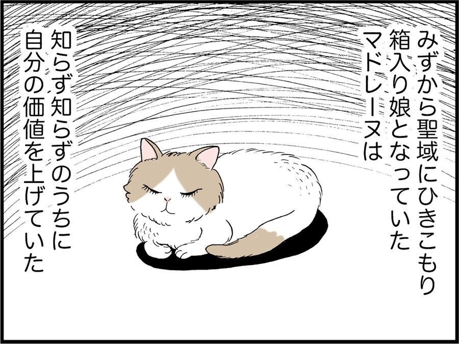 【猫からエロスを学ぶ】見えそうで見えない「チラ見せ」で生まれるドキドキ感の11枚目の画像