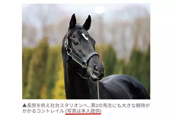 Vow 街のおもしろ画像7選 三冠馬が自撮り カーリングに生き物が乱入 ほか ローリエプレス