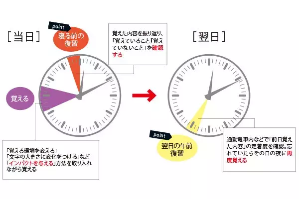 記憶を定着させたい 効果的な復習のタイミングを医学博士が解説 社会人の勉強法 ローリエプレス