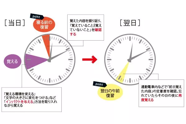 記憶を定着させたい 効果的な復習のタイミングを医学博士が解説 社会人の勉強法 ローリエプレス