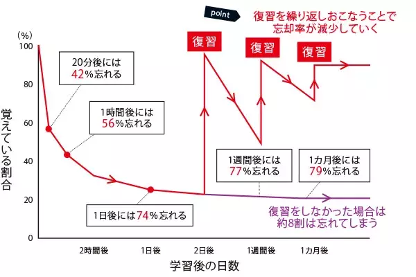 記憶を定着させたい 効果的な復習のタイミングを医学博士が解説 社会人の勉強法 ローリエプレス