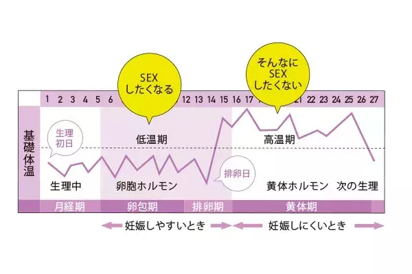 生理中にセックスしていい 人に聞けない性欲の悩みをバービーや医師に聞いてみた ローリエプレス