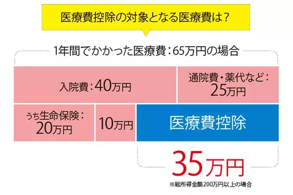 2021年提出 医療費控除とは 確定申告で税金が戻る 減るかも ローリエプレス