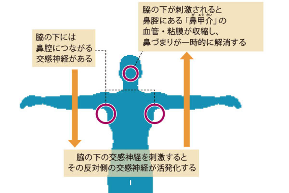 鼻づまりはペットボトルを脇にはさむと治る 就寝中の鼻づまりにも効く対処法を医師が解説 ローリエプレス