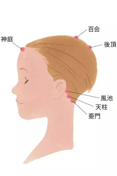 肩こりや背中のハリにも効果が 頭皮マッサージのやり方を毛髪診断士が指南 ローリエプレス