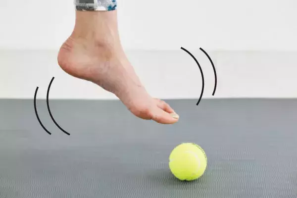 筋膜リリースでむくみ 冷えを改善 テニスボール1つで簡単エクササイズ Kaoruさん直伝 ローリエプレス