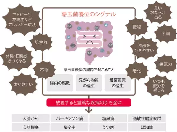 臭いおならは病気のサイン 腸内環境の悪化を放置しないほうがいい理由を解説 専門家 監修 ローリエプレス