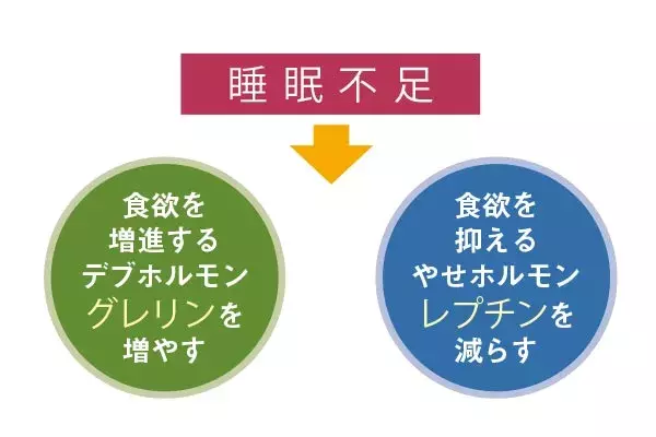 睡眠不足だと食欲旺盛に ダイエットに7時間睡眠を推す理由を減量外来医師が解説 ローリエプレス